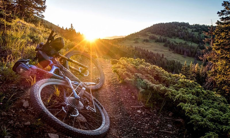 dolorem-et-reiciendis-laboriosam-necessitatibus