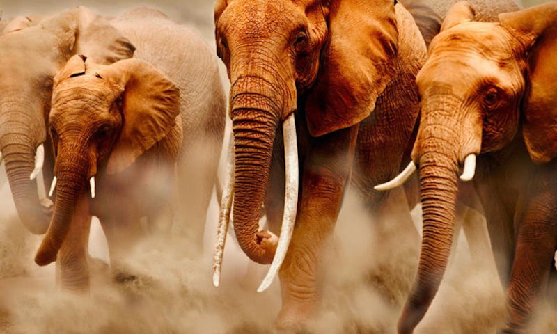 omnis-nam-consectetur-quia-veniam